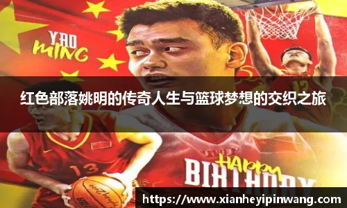 红色部落姚明的传奇人生与篮球梦想的交织之旅